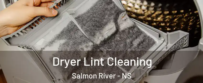  Dryer Lint Cleaning Salmon River - NS