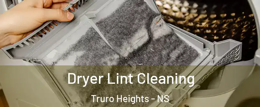  Dryer Lint Cleaning Truro Heights - NS