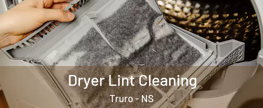  Dryer Lint Cleaning Truro - NS
