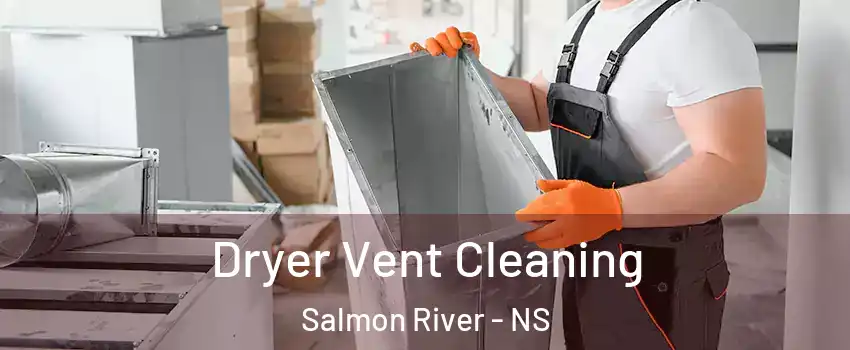  Dryer Vent Cleaning Salmon River - NS