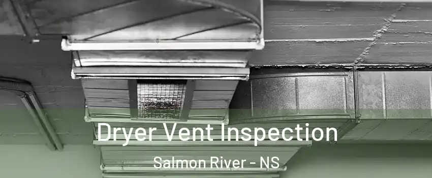  Dryer Vent Inspection Salmon River - NS