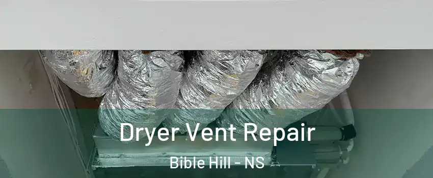  Dryer Vent Repair Bible Hill - NS