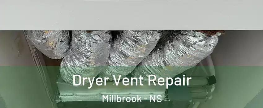  Dryer Vent Repair Millbrook - NS