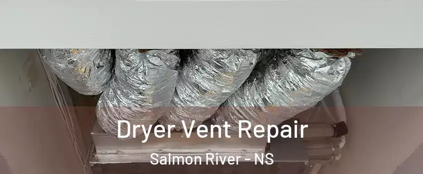  Dryer Vent Repair Salmon River - NS