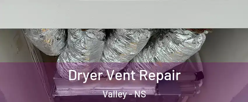  Dryer Vent Repair Valley - NS