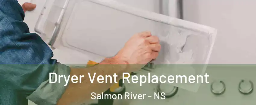  Dryer Vent Replacement Salmon River - NS