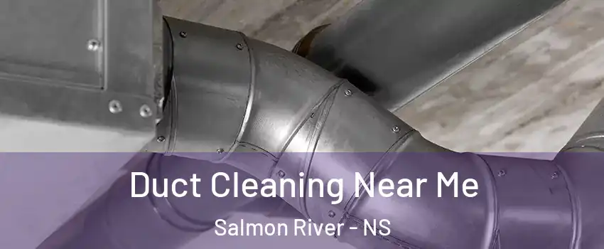  Duct Cleaning Near Me Salmon River - NS