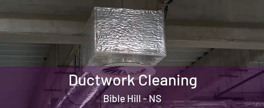 Ductwork Cleaning Bible Hill - NS