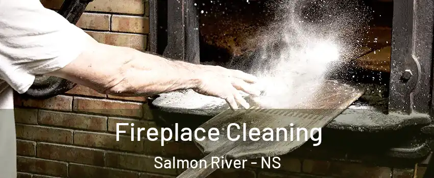  Fireplace Cleaning Salmon River - NS