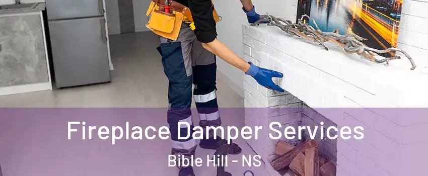  Fireplace Damper Services Bible Hill - NS