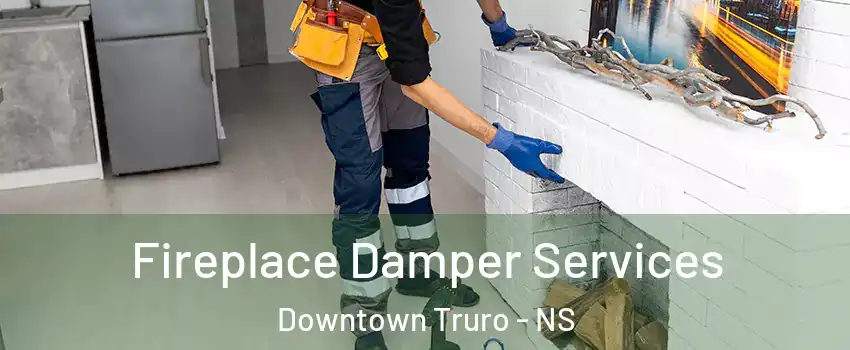  Fireplace Damper Services Downtown Truro - NS