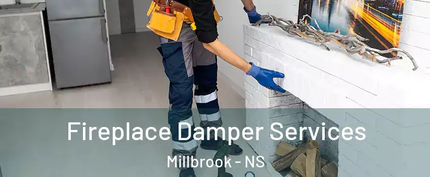  Fireplace Damper Services Millbrook - NS