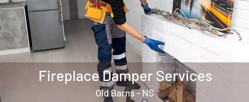  Fireplace Damper Services Old Barns - NS