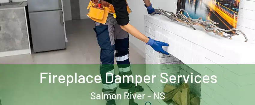  Fireplace Damper Services Salmon River - NS