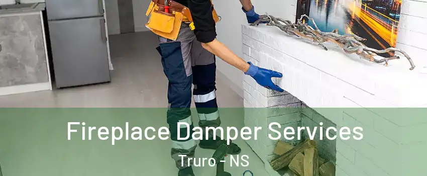  Fireplace Damper Services Truro - NS