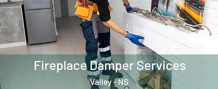  Fireplace Damper Services Valley - NS
