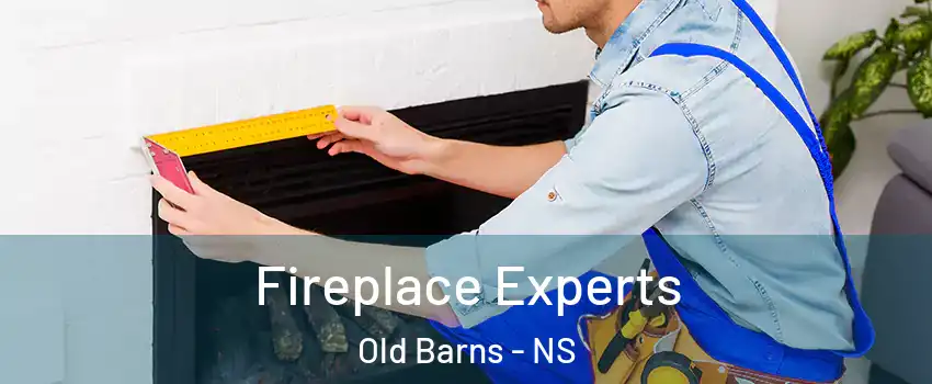  Fireplace Experts Old Barns - NS