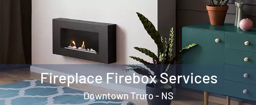  Fireplace Firebox Services Downtown Truro - NS