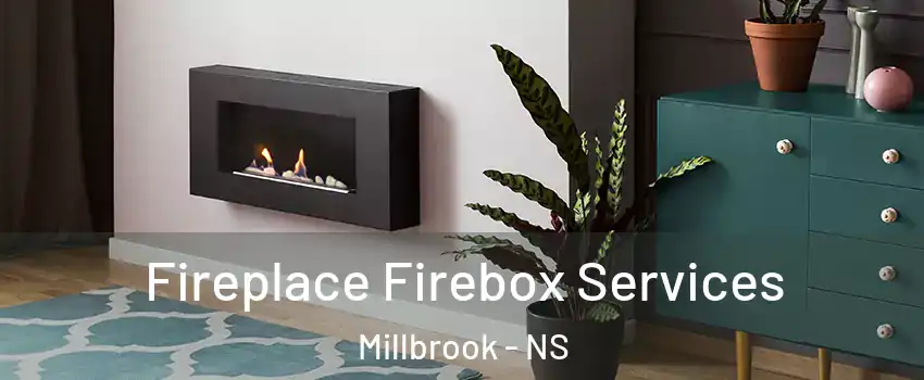  Fireplace Firebox Services Millbrook - NS