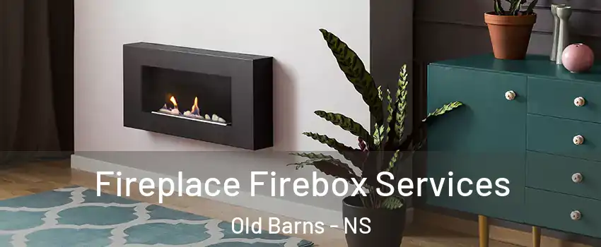  Fireplace Firebox Services Old Barns - NS