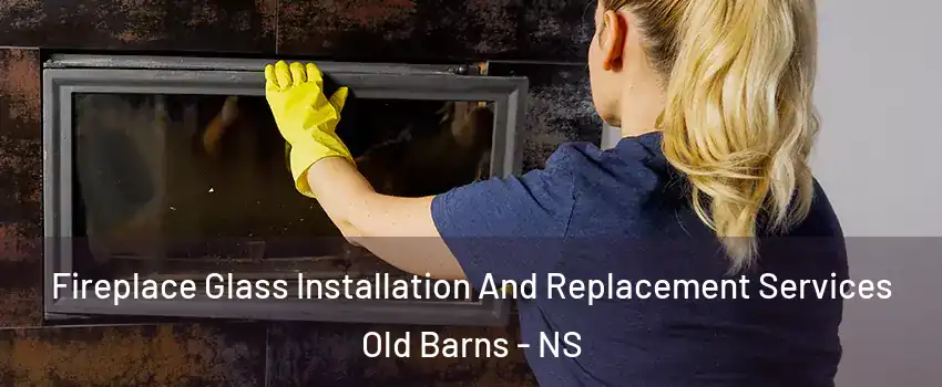 Fireplace Glass Installation And Replacement Services Old Barns - NS