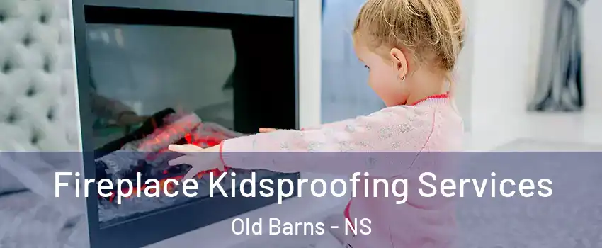  Fireplace Kidsproofing Services Old Barns - NS