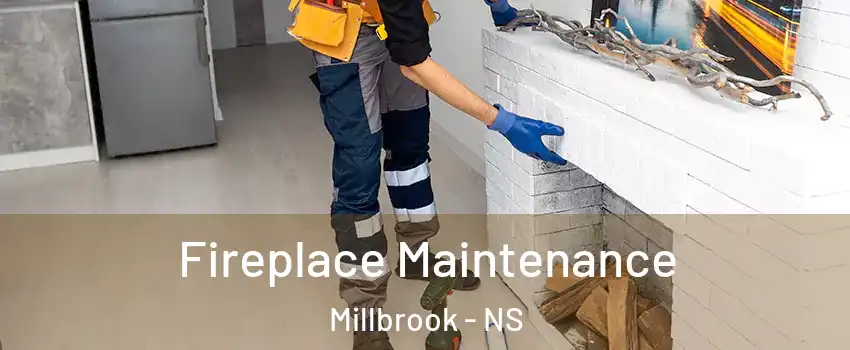  Fireplace Maintenance Millbrook - NS
