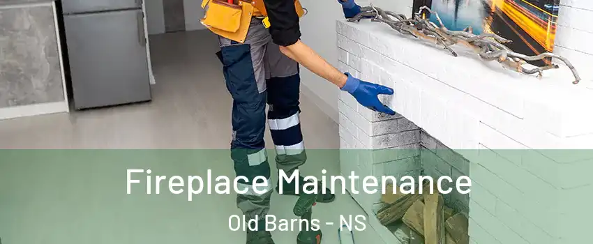  Fireplace Maintenance Old Barns - NS