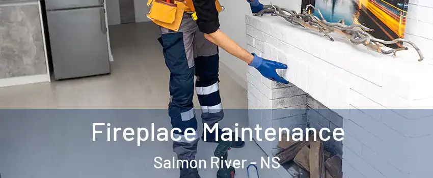  Fireplace Maintenance Salmon River - NS