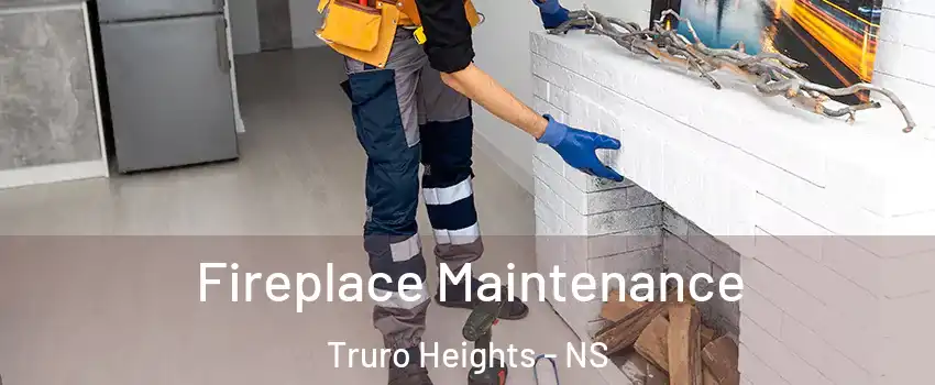  Fireplace Maintenance Truro Heights - NS