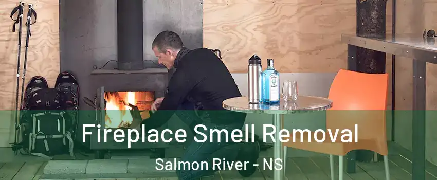  Fireplace Smell Removal Salmon River - NS