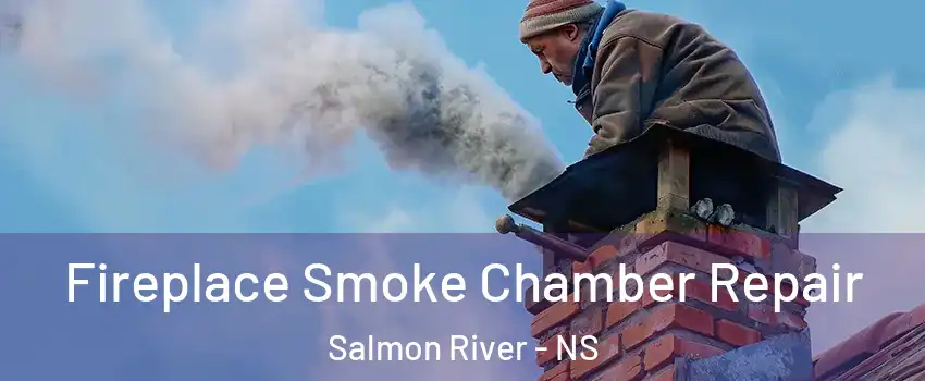  Fireplace Smoke Chamber Repair Salmon River - NS