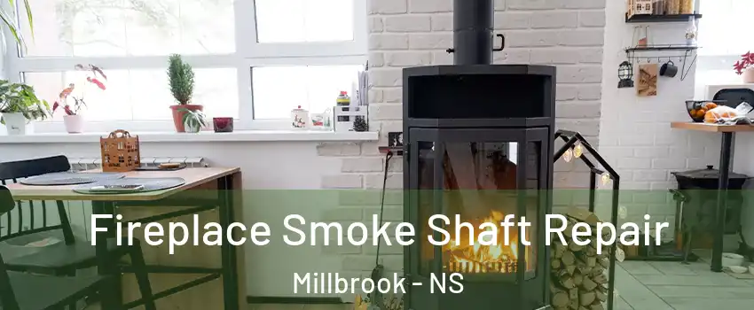 Fireplace Smoke Shaft Repair Millbrook - NS