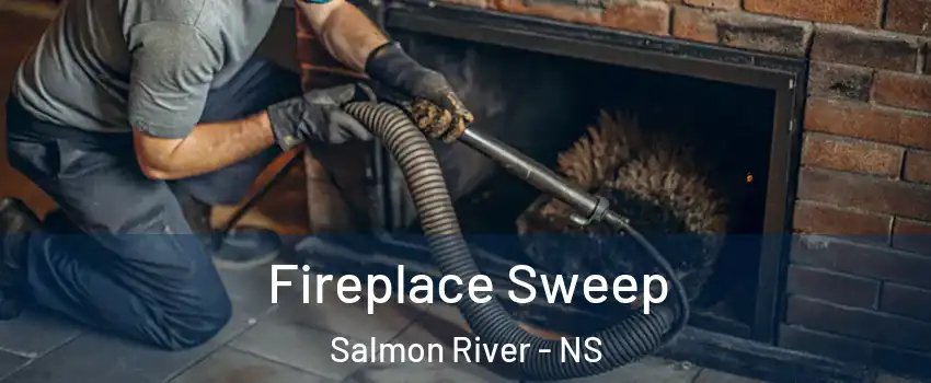  Fireplace Sweep Salmon River - NS