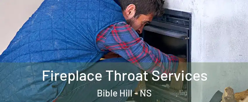  Fireplace Throat Services Bible Hill - NS