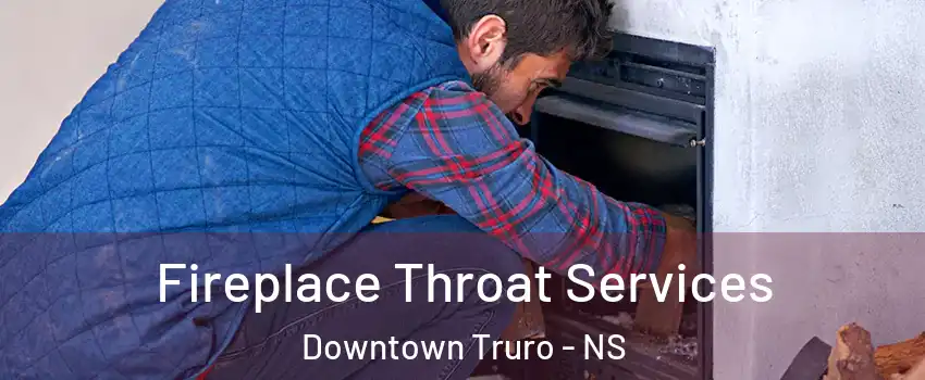  Fireplace Throat Services Downtown Truro - NS