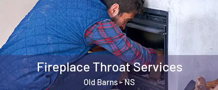  Fireplace Throat Services Old Barns - NS