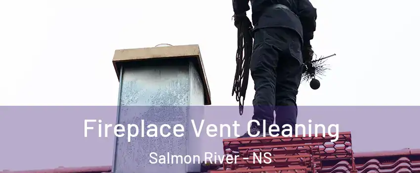  Fireplace Vent Cleaning Salmon River - NS