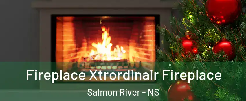  Fireplace Xtrordinair Fireplace Salmon River - NS