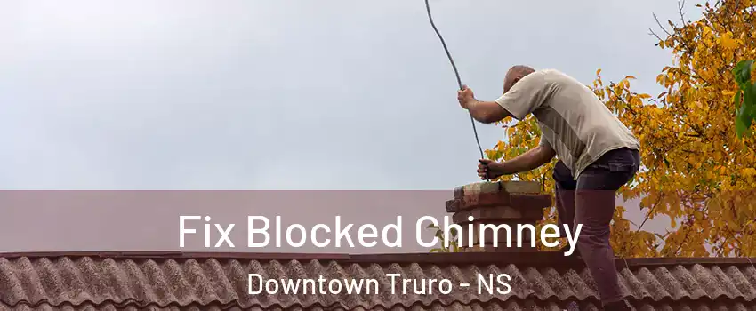  Fix Blocked Chimney Downtown Truro - NS