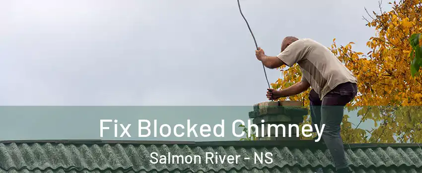  Fix Blocked Chimney Salmon River - NS