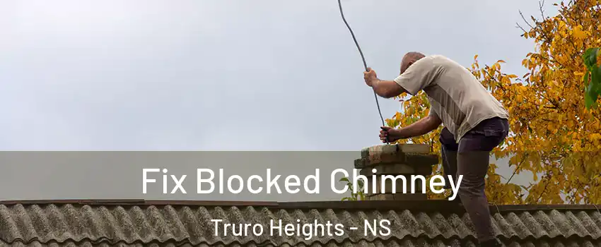  Fix Blocked Chimney Truro Heights - NS