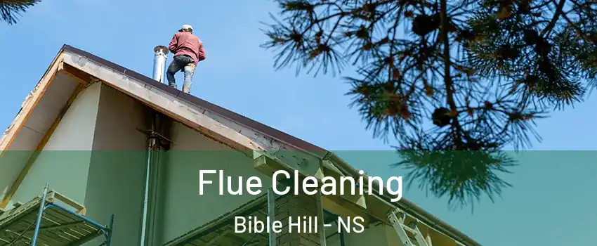  Flue Cleaning Bible Hill - NS
