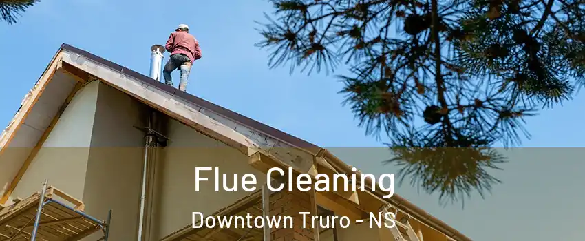  Flue Cleaning Downtown Truro - NS
