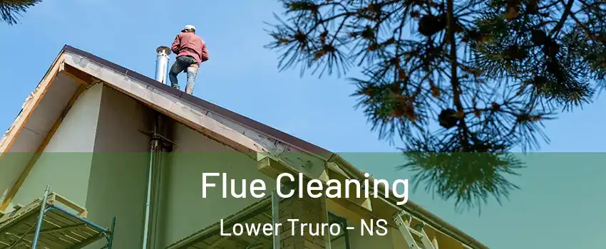  Flue Cleaning Lower Truro - NS