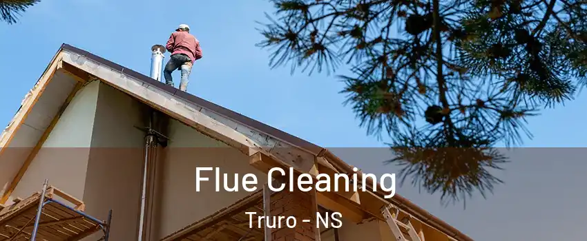  Flue Cleaning Truro - NS