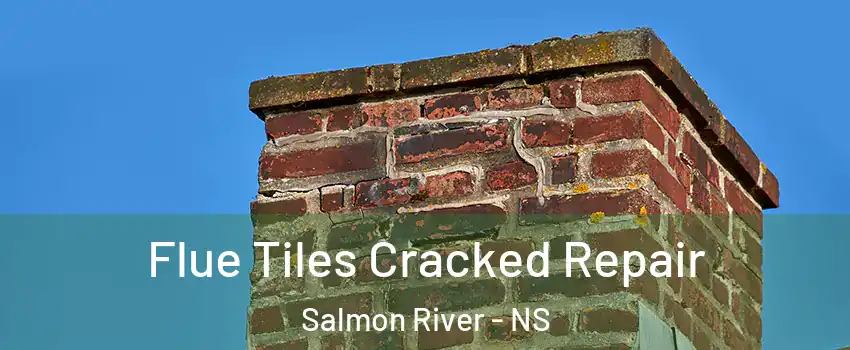  Flue Tiles Cracked Repair Salmon River - NS