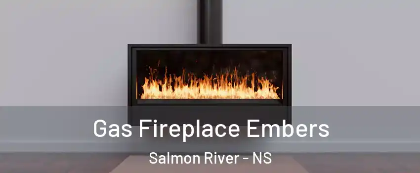  Gas Fireplace Embers Salmon River - NS