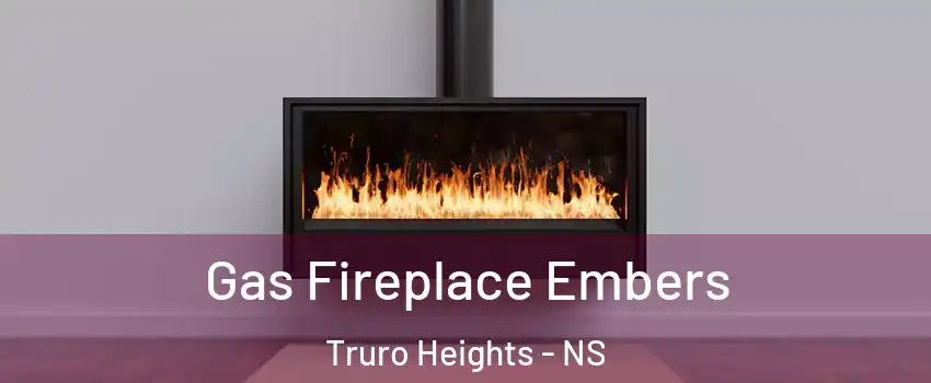  Gas Fireplace Embers Truro Heights - NS