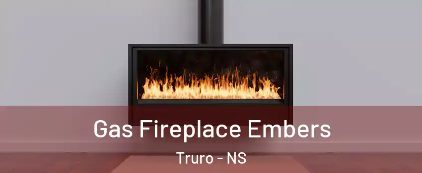  Gas Fireplace Embers Truro - NS